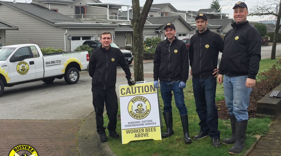 Window & Power Washing Team