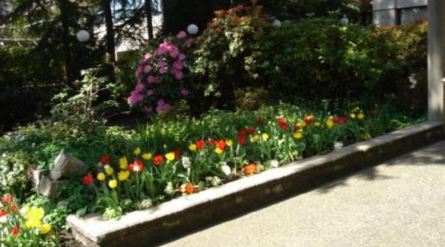 Landscaping