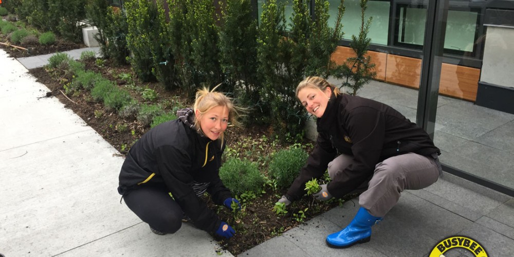 Marta and Alex, two hardworking worker bees!