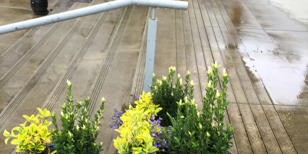 New Spring Planters!