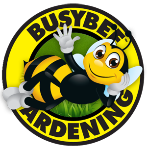 Busybee_Logo_right_2