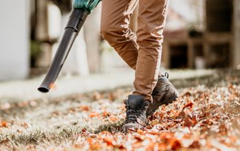 leaf removal