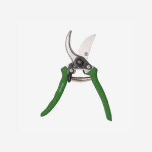 Accusata accommodare