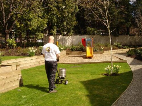 Busybee Gardening